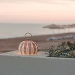 فندق Paloma Orenda 5*