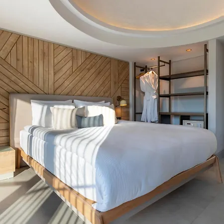 Paloma Orenda シダ