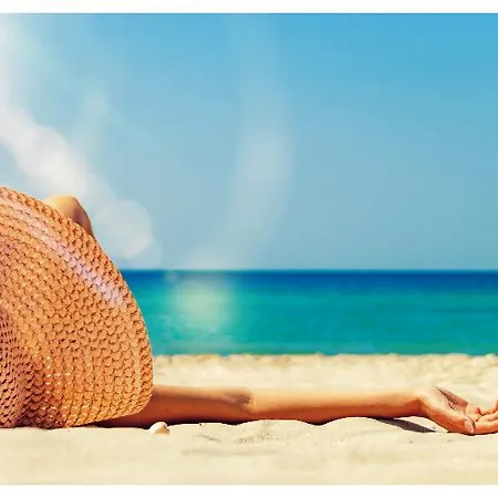 Paloma Orenda シダ