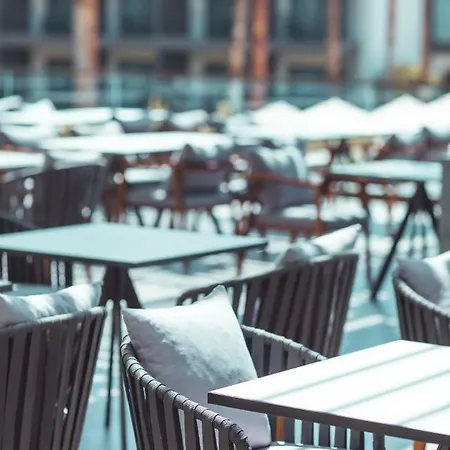 Paloma Orenda シダ