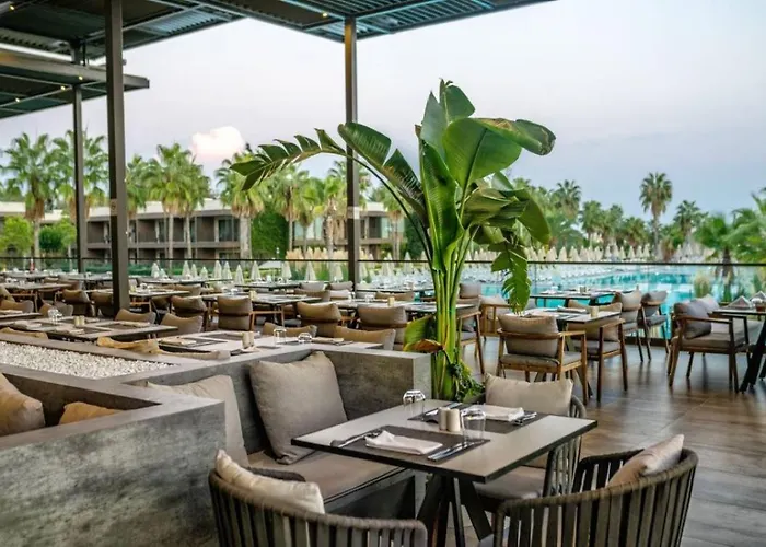 Отель Paloma Orenda