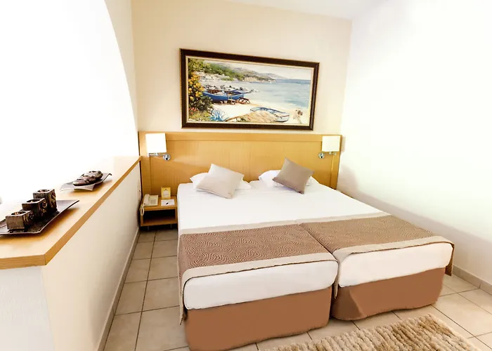 Paloma Orenda Сиде